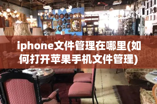 iphone文件管理在哪里(如何打开苹果手机文件管理)