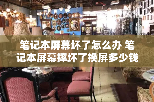 笔记本屏幕坏了怎么办 笔记本屏幕摔坏了换屏多少钱