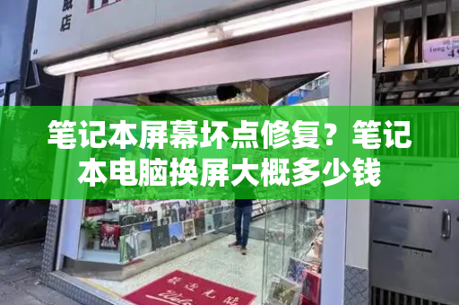 笔记本屏幕坏点修复？笔记本电脑换屏大概多少钱-第1张图片-星选测评