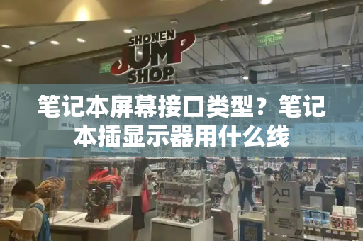 笔记本屏幕接口类型？笔记本插显示器用什么线