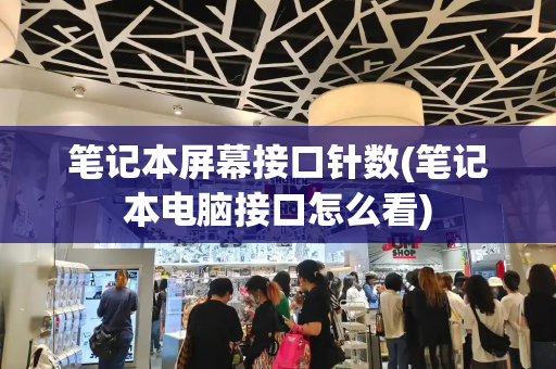 笔记本屏幕接口针数(笔记本电脑接口怎么看)