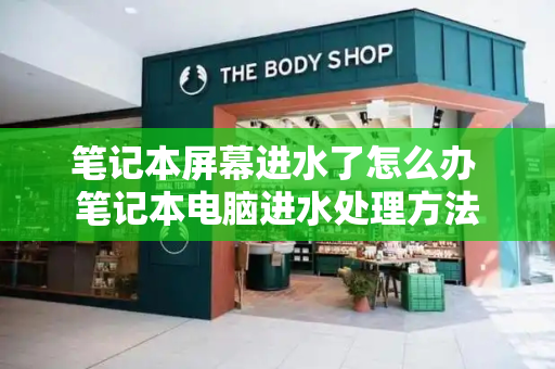 笔记本屏幕进水了怎么办 笔记本电脑进水处理方法