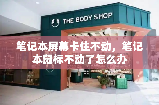 笔记本屏幕卡住不动，笔记本鼠标不动了怎么办
