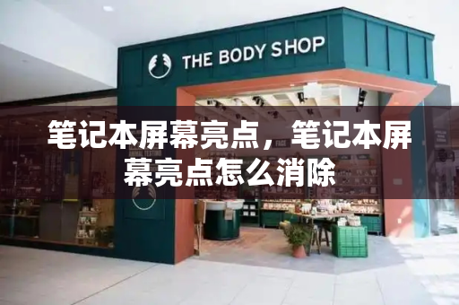 笔记本屏幕亮点，笔记本屏幕亮点怎么消除-第1张图片-星选测评