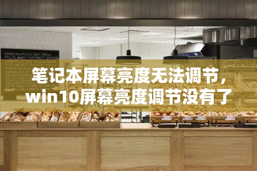 笔记本屏幕亮度无法调节，win10屏幕亮度调节没有了-第1张图片-星选测评
