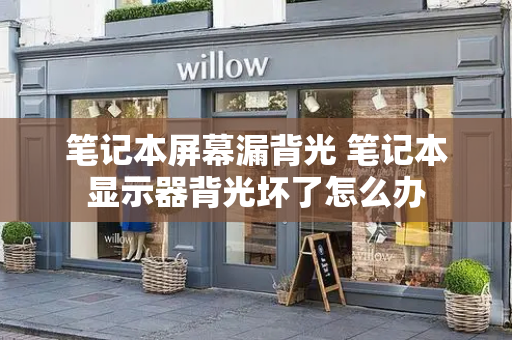 笔记本屏幕漏背光 笔记本显示器背光坏了怎么办-第1张图片-星选测评