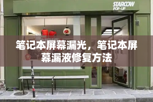 笔记本屏幕漏光，笔记本屏幕漏液修复方法-第1张图片-星选测评
