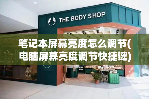 笔记本屏幕亮度怎么调节(电脑屏幕亮度调节快捷键)-第1张图片-星选测评
