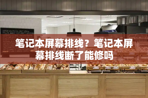 笔记本屏幕排线？笔记本屏幕排线断了能修吗-第1张图片-星选测评