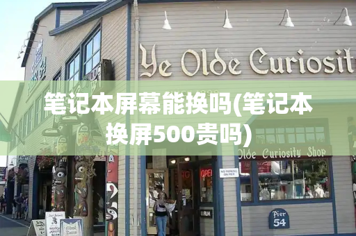 笔记本屏幕能换吗(笔记本换屏500贵吗)
