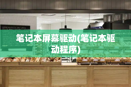 笔记本屏幕驱动(笔记本驱动程序)-第1张图片-星选测评