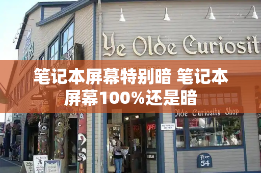 笔记本屏幕特别暗 笔记本屏幕100%还是暗-第1张图片-星选测评