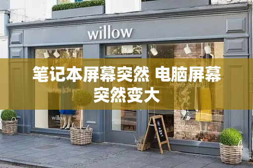 笔记本屏幕突然 电脑屏幕突然变大-第1张图片-星选测评