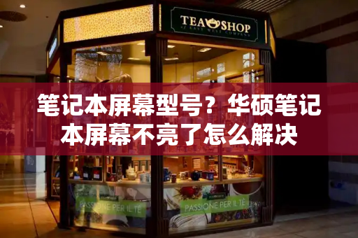 笔记本屏幕型号？华硕笔记本屏幕不亮了怎么解决-第1张图片-星选测评
