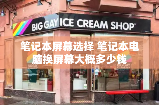 笔记本屏幕选择 笔记本电脑换屏幕大概多少钱