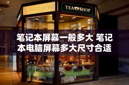 笔记本屏幕一般多大 笔记本电脑屏幕多大尺寸合适-第1张图片-星选测评