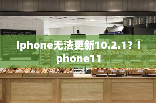 iphone无法更新10.2.1？iphone11