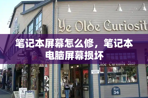 笔记本屏幕怎么修，笔记本电脑屏幕损坏-第1张图片-星选测评