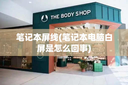 笔记本屏线(笔记本电脑白屏是怎么回事)-第1张图片-星选测评