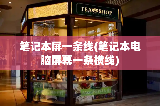 笔记本屏一条线(笔记本电脑屏幕一条横线)-第1张图片-星选测评