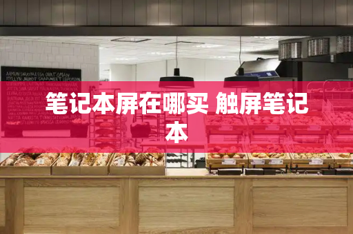笔记本屏在哪买 触屏笔记本-第1张图片-星选测评
