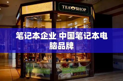 笔记本企业 中国笔记本电脑品牌-第1张图片-星选测评