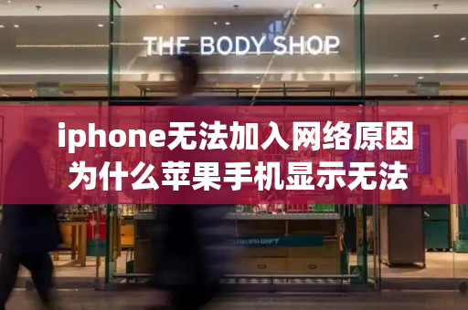iphone无法加入网络原因 为什么苹果手机显示无法加入网络-第1张图片-星选测评