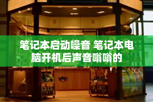 笔记本启动噪音 笔记本电脑开机后声音嗡嗡的
