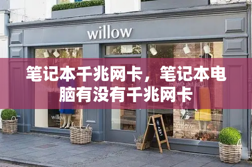 笔记本千兆网卡，笔记本电脑有没有千兆网卡