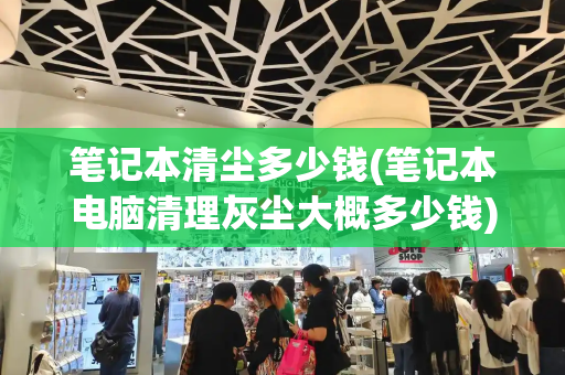 笔记本清尘多少钱(笔记本电脑清理灰尘大概多少钱)-第1张图片-星选测评