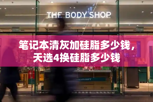 笔记本清灰加硅脂多少钱，天选4换硅脂多少钱