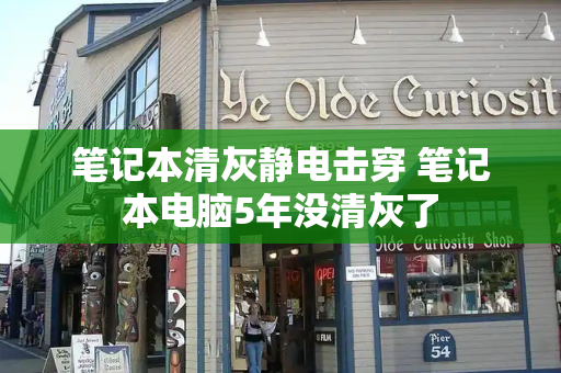 笔记本清灰静电击穿 笔记本电脑5年没清灰了