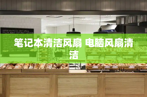 笔记本清洁风扇 电脑风扇清洁