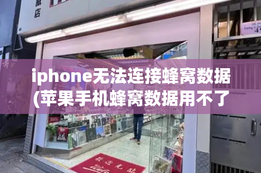 iphone无法连接蜂窝数据(苹果手机蜂窝数据用不了怎么办)