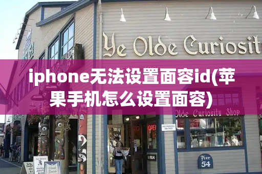 iphone无法设置面容id(苹果手机怎么设置面容)
