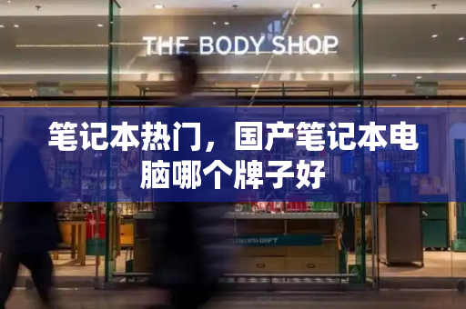 笔记本热门，国产笔记本电脑哪个牌子好-第1张图片-星选测评