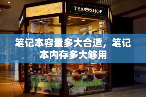 笔记本容量多大合适，笔记本内存多大够用
