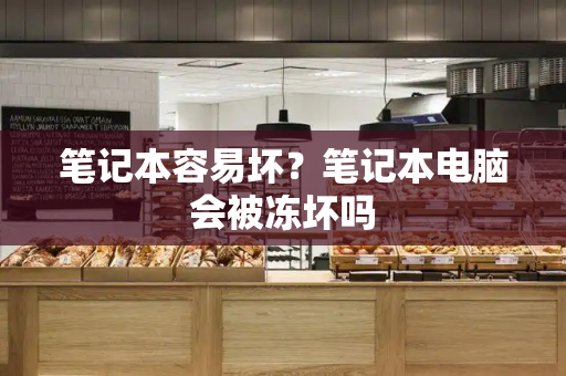 笔记本容易坏？笔记本电脑会被冻坏吗