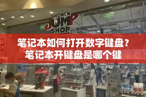 笔记本如何打开数字键盘？笔记本开键盘是哪个键-第1张图片-星选测评