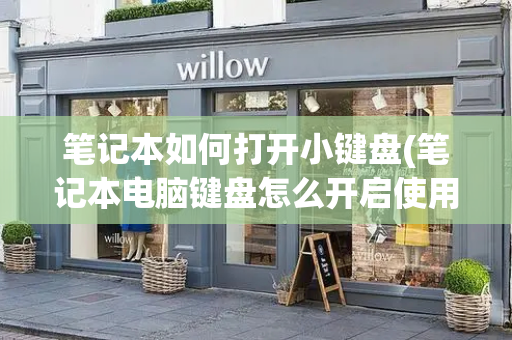 笔记本如何打开小键盘(笔记本电脑键盘怎么开启使用)