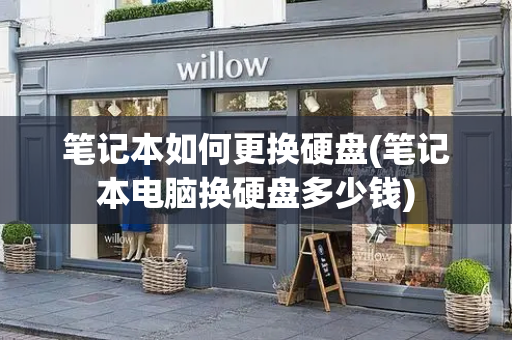 笔记本如何更换硬盘(笔记本电脑换硬盘多少钱)-第1张图片-星选测评