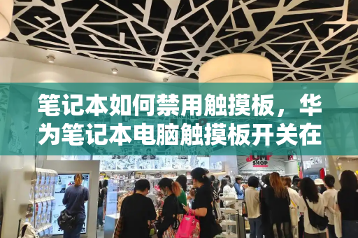 笔记本如何禁用触摸板，华为笔记本电脑触摸板开关在哪