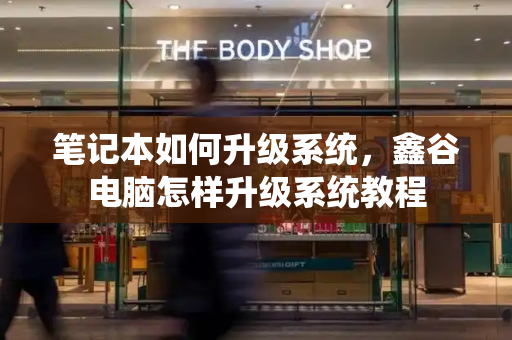 笔记本如何升级系统，鑫谷电脑怎样升级系统教程-第1张图片-星选测评