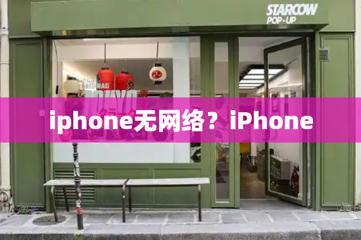 iphone无网络？iPhone-第1张图片-星选测评
