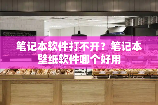 笔记本软件打不开？笔记本壁纸软件哪个好用-第1张图片-星选测评