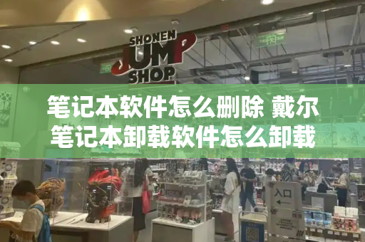 笔记本软件怎么删除 戴尔笔记本卸载软件怎么卸载-第1张图片-星选测评