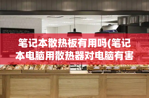 笔记本散热板有用吗(笔记本电脑用散热器对电脑有害吗)-第1张图片-星选测评