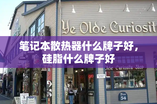 笔记本散热器什么牌子好，硅脂什么牌子好-第1张图片-星选测评
