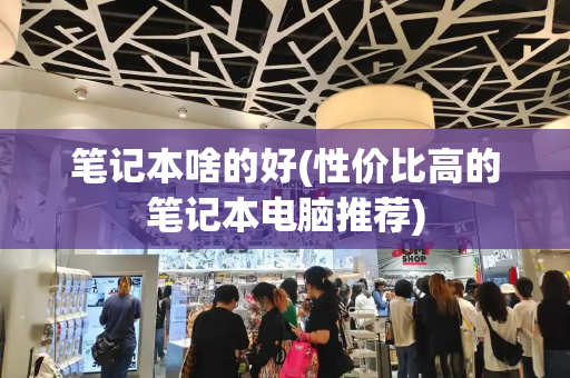 笔记本啥的好(性价比高的笔记本电脑推荐)