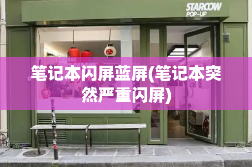 笔记本闪屏蓝屏(笔记本突然严重闪屏)-第1张图片-星选测评